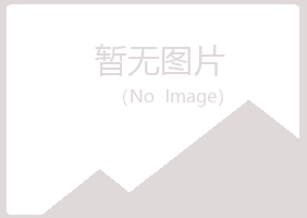 高平字迹水泥有限公司